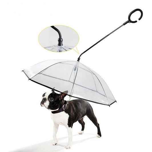 Transparent Pet C-Type Adjustable Umbrella