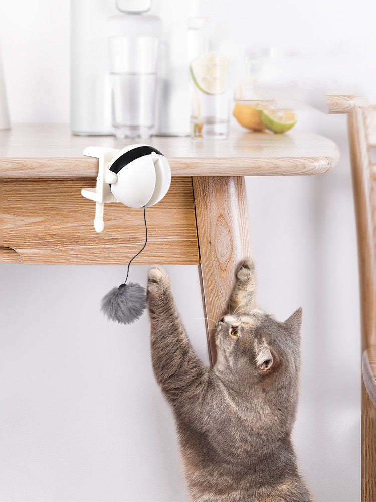 Interactive Electric Lifting Cat Toy