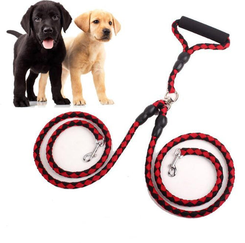 Double-Ended Dog Leash & Collar Set – For Walking Two Dogs