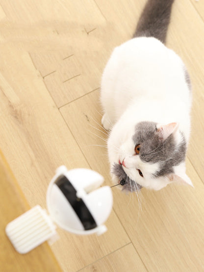 Interactive Electric Lifting Cat Toy